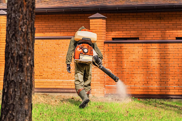 Trusted Fumigation Services service in Star Valley Ranch, WY - Nex Pest Control